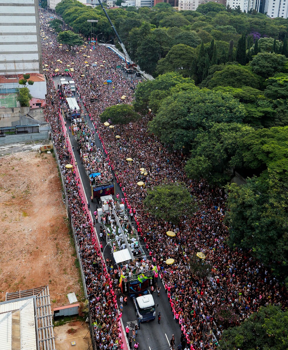Bloco Acadêmicos do Baixo Augusta levou 1 milhão de pessoas à Rua da Consolação — Foto: Tiago Queiroz/Estadão Conteúdo
