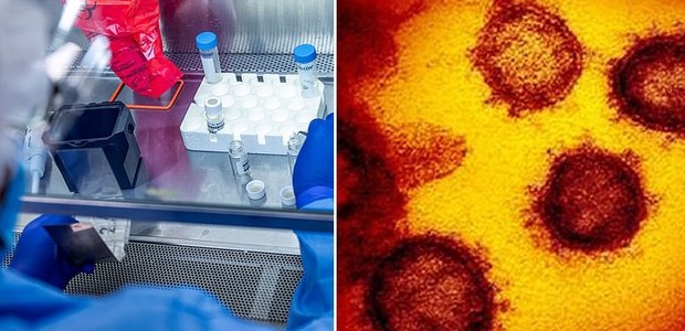 Cientistas da Universidade de Pittsburgh isolaram uma biomolécula que neutraliza o vírus que causa o coronavírus (Foto: UPM/Reuters/TNS)