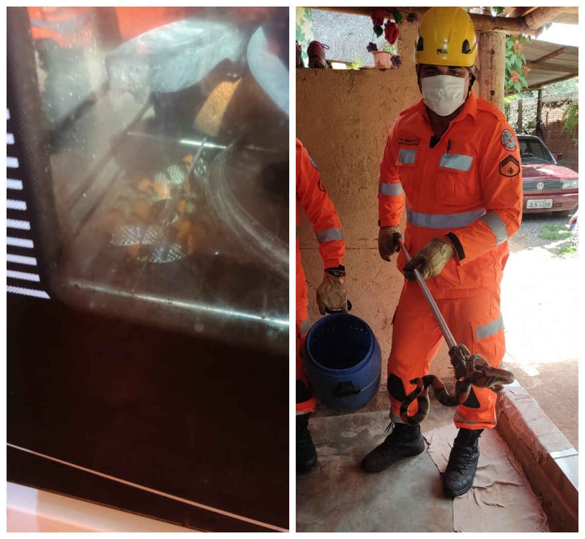 Moradora encontra cobra coral dentro do fogão de casa, em Montes Claros
