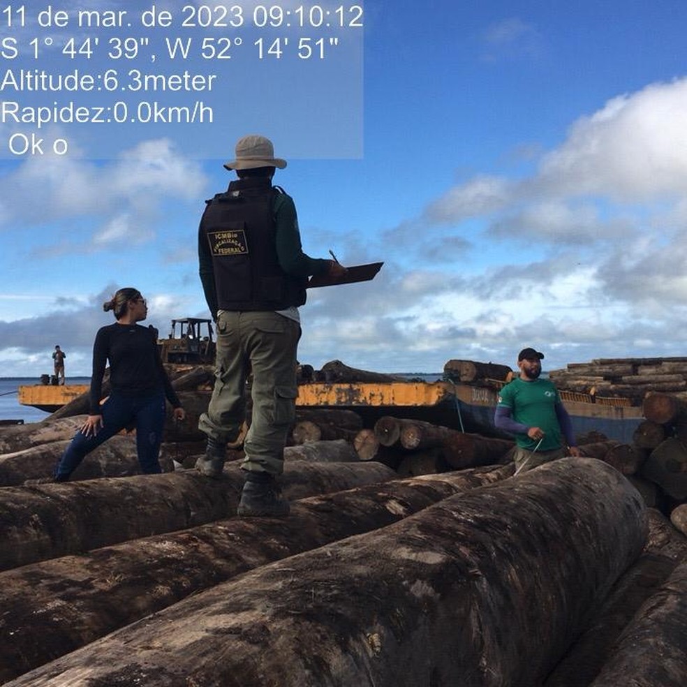 Agentes ambientais durante fiscalização a carga de madeira apreendida em Porto de Moz, no Pará — Foto: ICMBio / Divulgação