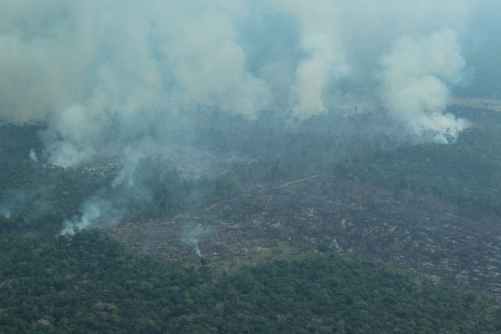 Queimada em área desmatada em Apuí, no Amazonas — Foto: Jonatas Boni/G1