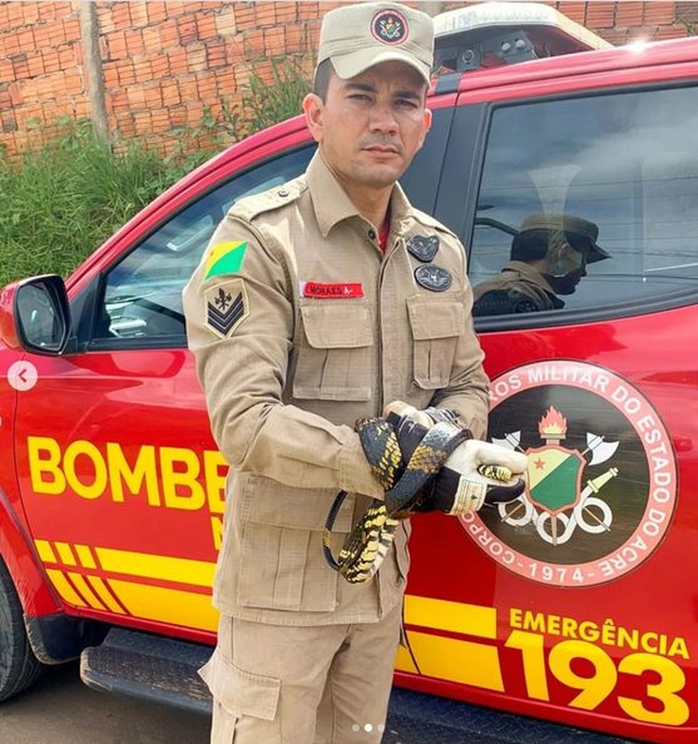 Cobra da espécie caninana tem aproximadamente 1,8 metro — Foto: Corpo de Bombeiros