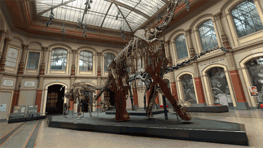 Google Arts & Culture | Download | TechTudo