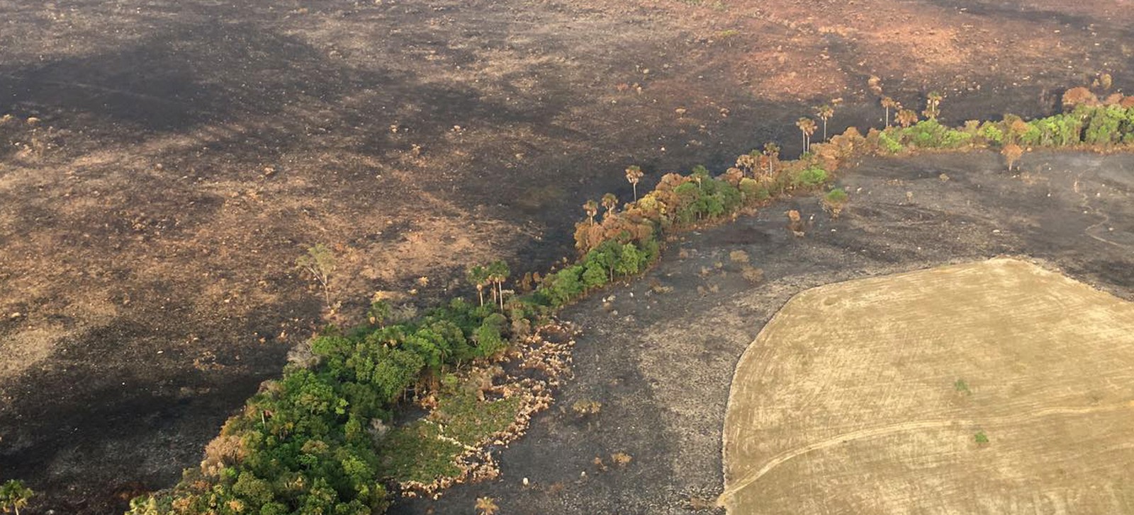 Incêndio na Chapada dos Veadeiros já destruiu mais de 65 mil hectares da unidade de conservação em Goiás, segundo o ICMBio (Foto: Vitor Santana/G1)