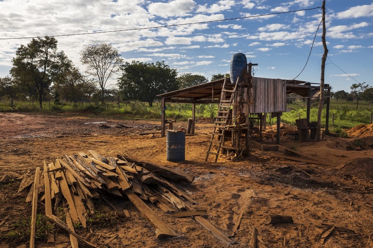 Crime organizado e milícias estão ligados a desmatamentos e queimadas na Amazônia, diz Human Rights Watch