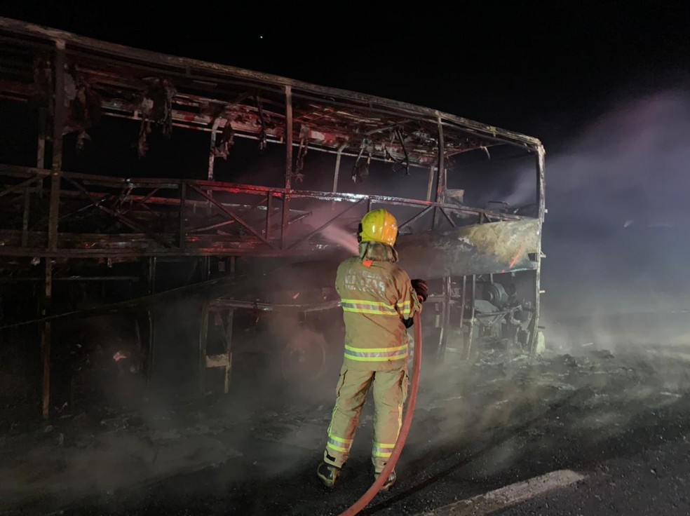 Bombeiro combate fogo em ônibus na BR-050, em Delta — Foto: Corpo de Bombeiros/Divulgação