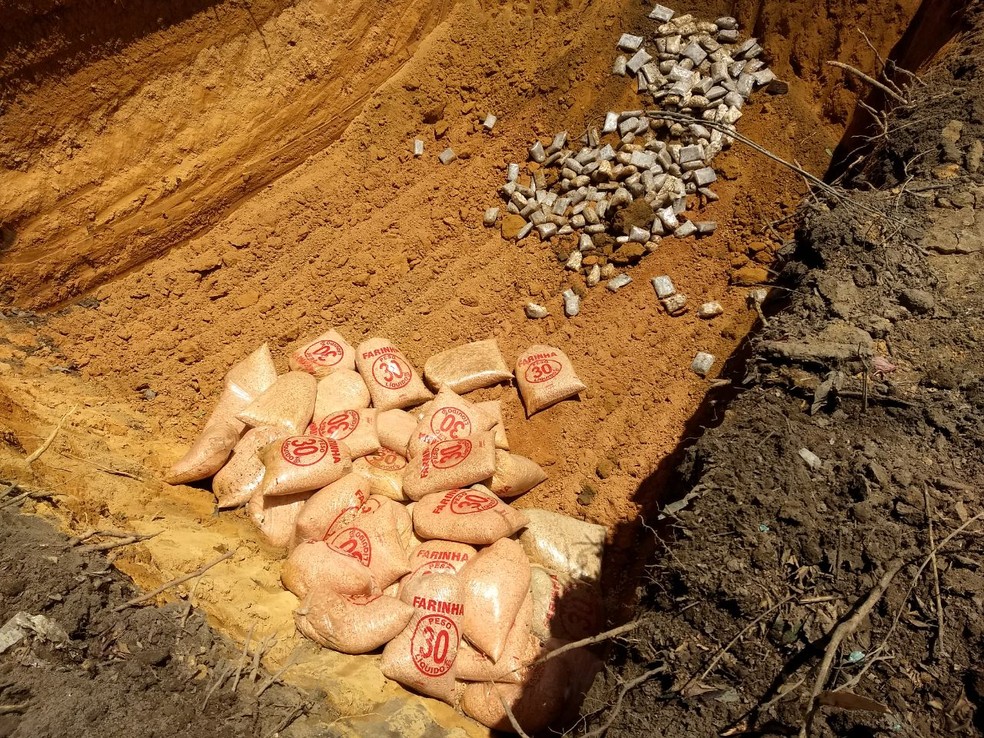 Piracuí, camarão e aviú sem selo de origem foram descartados no aterro sanitário (Foto: Valter Matos/Divisa/Divulgação)