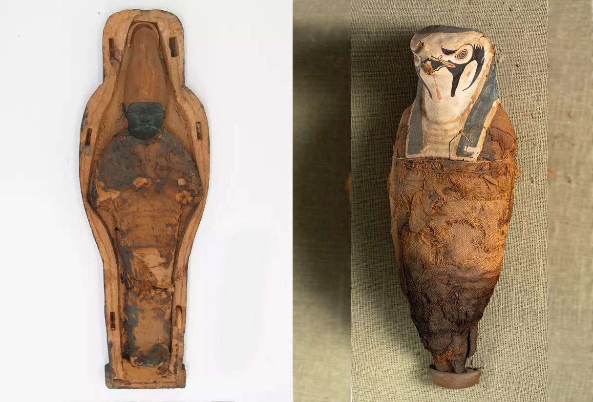 Artefato de Osíris e múmia em homenagem a Hórus: nenhum dos sarcófagos do museu continha restos humanos (Foto: Collection of the National Maritime Museum, Haifa)
