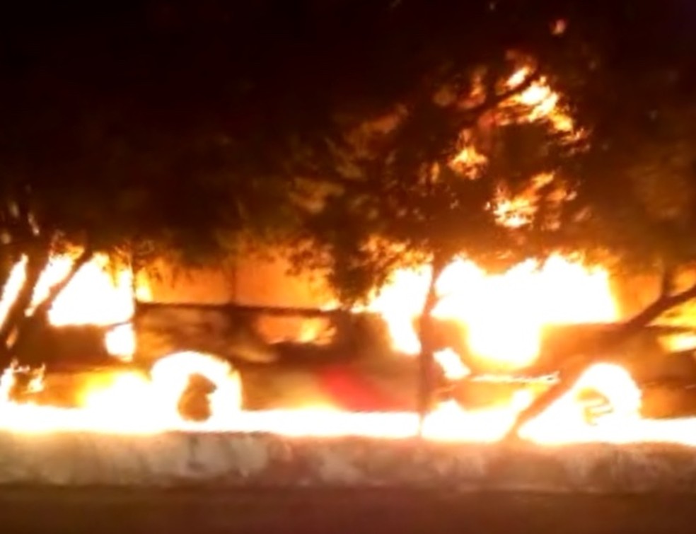 Ônibus foram destruídos pelas chamas em ataques ocorridos em Fortaleza (Foto: Reprodução)