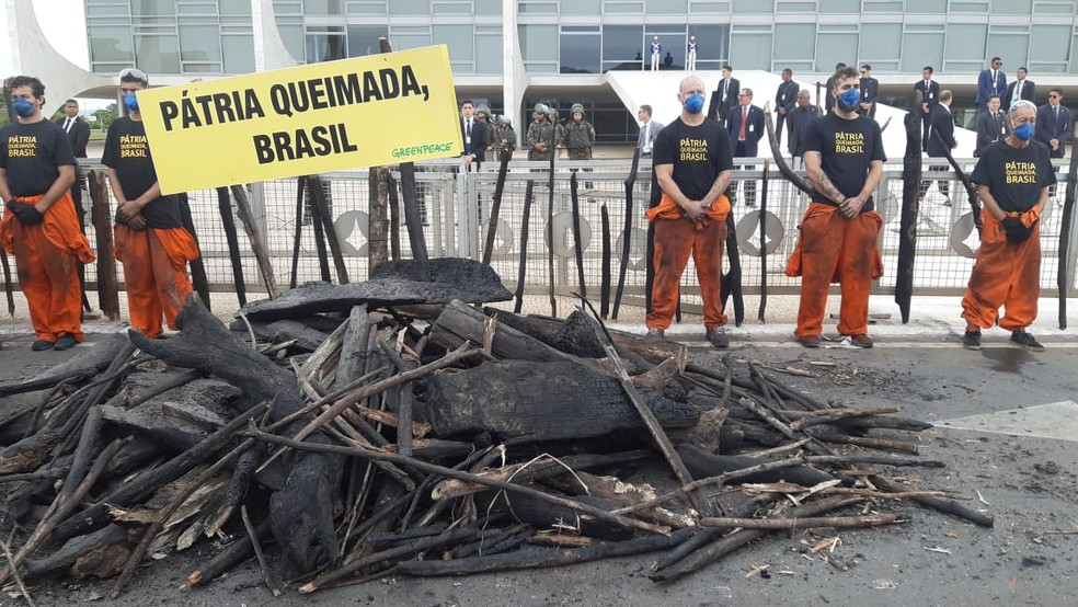 Ativistas do Greenpeace reuniram galhos queimados na frente do Palácio do Planalto, em Brasília — Foto: Carolina Cruz/G1