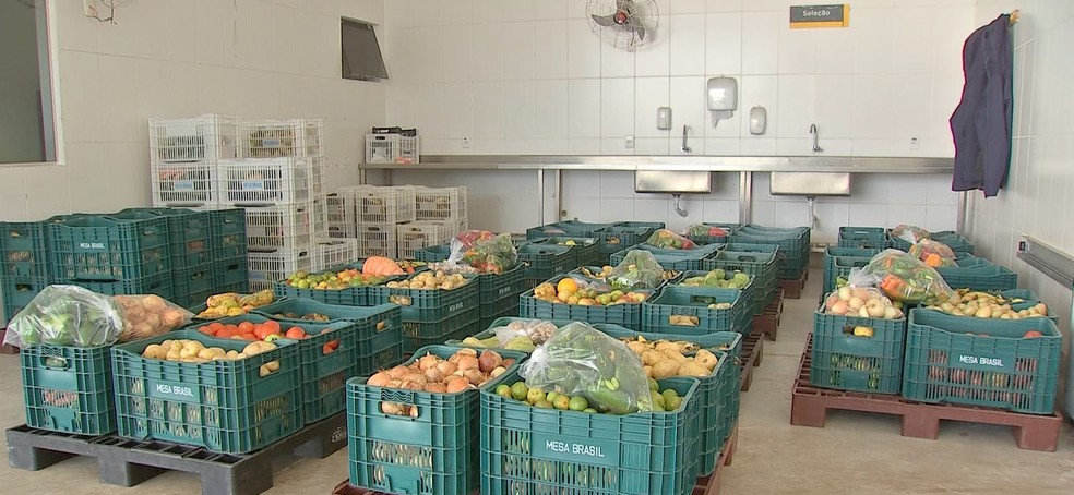 Projeto Mesa Brasil faz o trabalho de coleta, seleção dos produtos próprios para o consumo e distribuição — Foto: TVCA/Reprodução