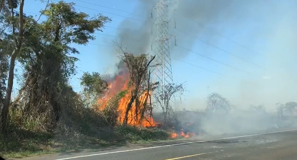 Fogo atingiu vegetação às margens da SP-284, entre Martinópolis e Rancharia, nesta terça-feira (1º) — Foto: Marcelo Pereira/TV Fronteira