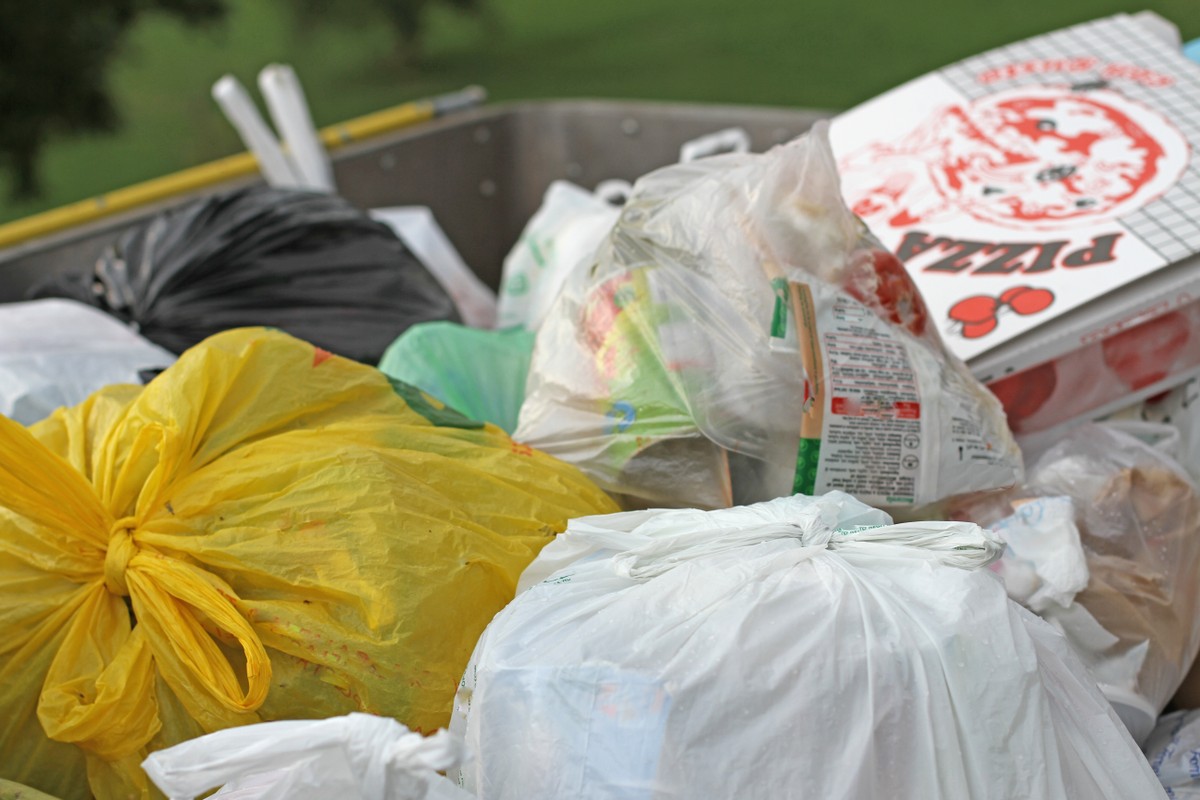 Rota da Reciclagem: como encontrar o ponto de coleta mais próximo