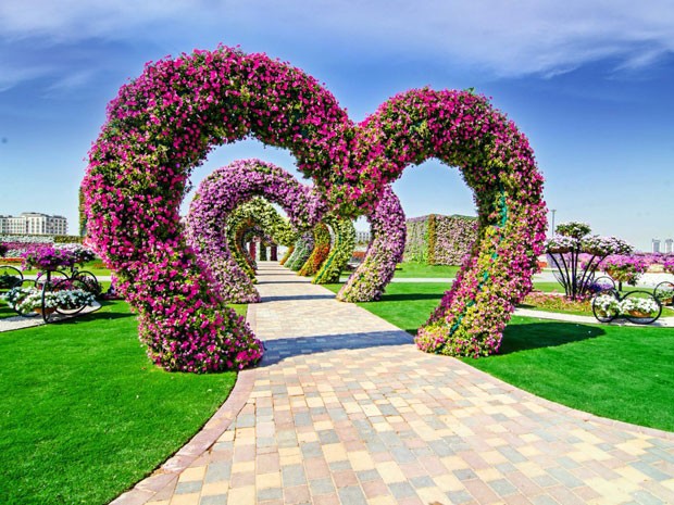 G1 - Jardim na árida Dubai tem milhões de flores que formam estrelas e  corações - notícias em Turismo e Viagem