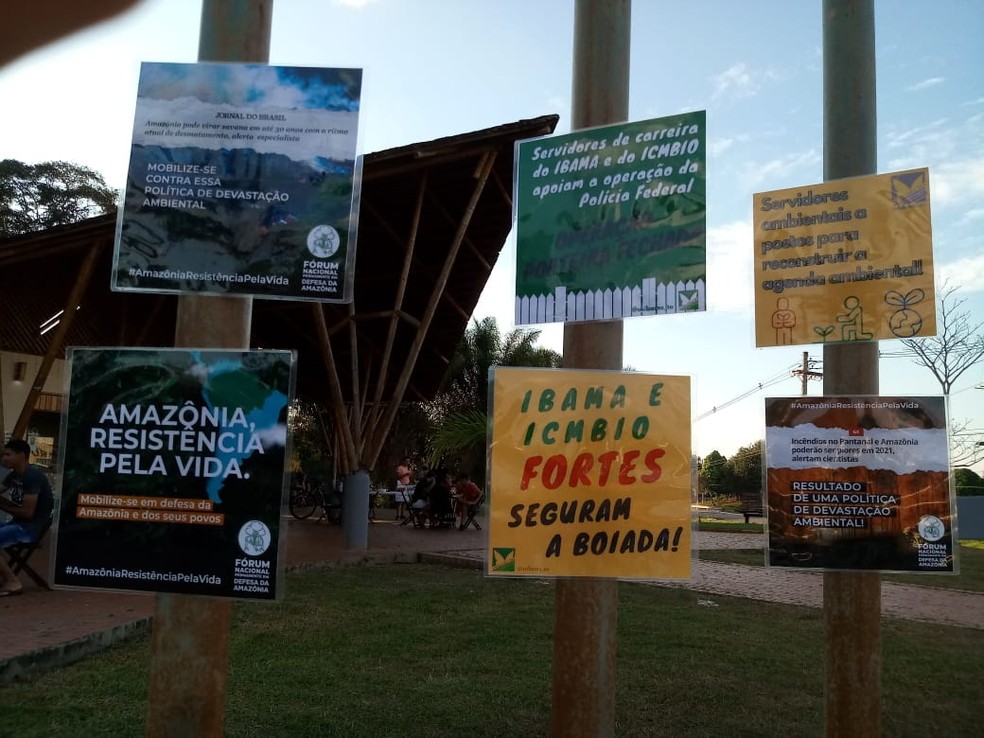 Cartazes protestam contra política ambiental do atual governo — Foto: Arquivo pessoal