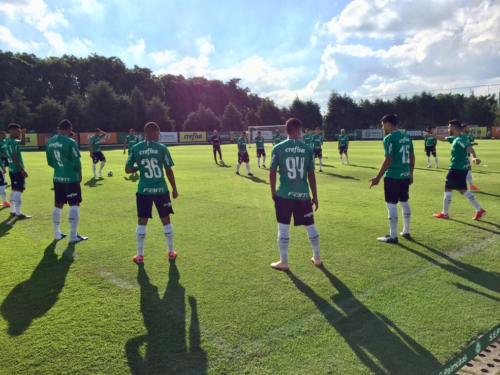Elenco do Palmeiras treina na Academia de Futebol — Foto: Felipe Zito