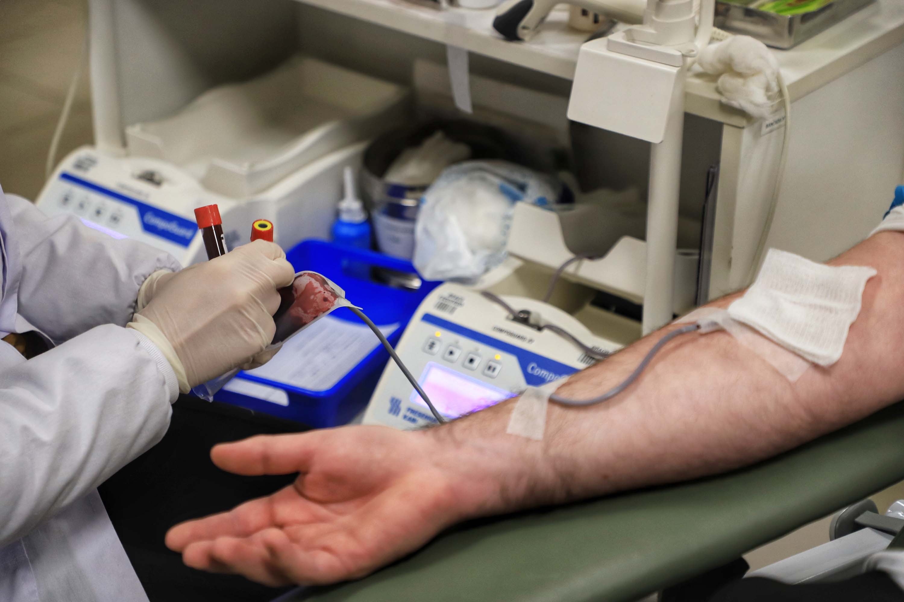 Paraná tem mais de 20 locais para de doação de sangue; confira endereços por cidades