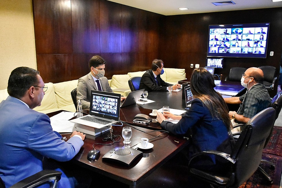 Votação aconteceu de forma virtual — Foto: Divulgação/ALRN