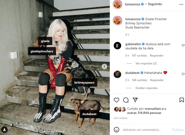 Luísa Sonza e as cachorrinhas Gisele Pinscher, Britney Spinschers e Duda Beainscher (Foto: Reprodução/Instagram)