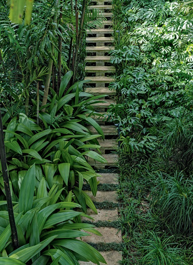 Escada conduzida por curcúligo, pandano rasteiro, costela-de-adão e palmeira-de-macarthu (Foto: Victor Affaro / Ediora Globo)