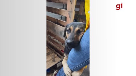 C&atilde;o