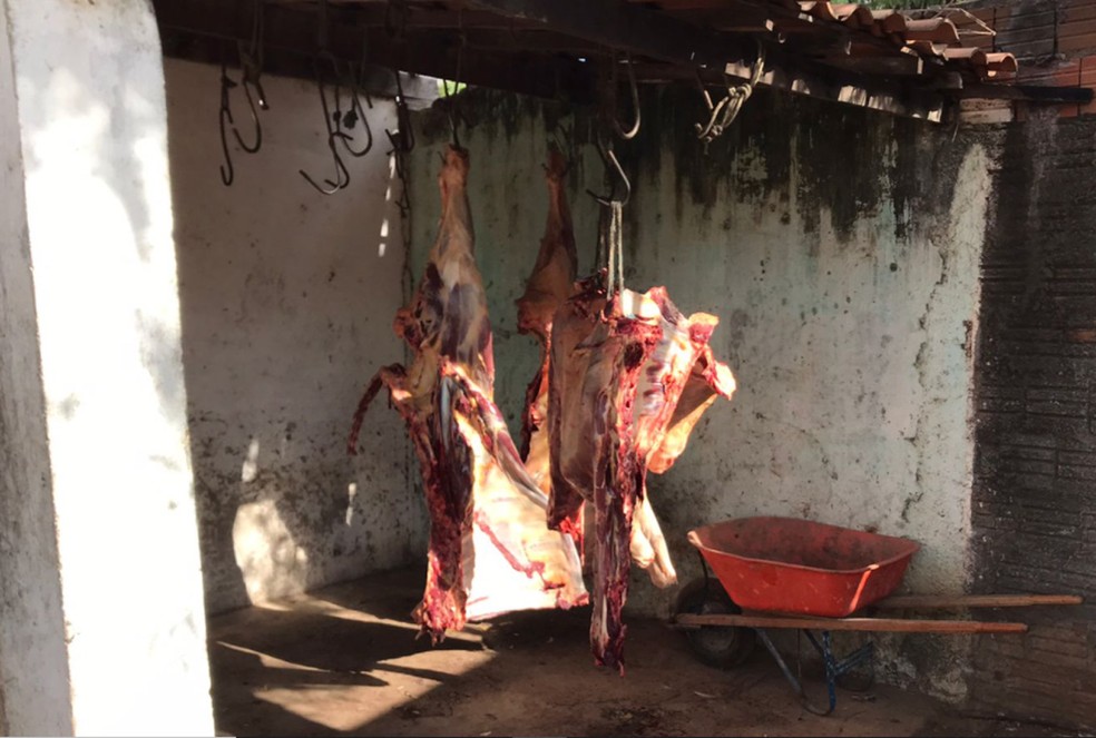 Ao todo, foram 510 quilos de carne impr&oacute;pria para consumo apreendidas em Mossor&oacute;, no RN &mdash; Foto: Edinaldo Moreno/PMM