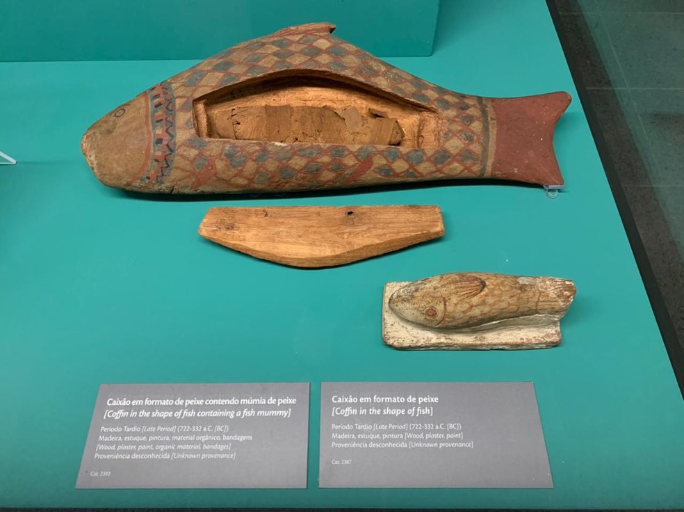 Caixão e múmia de peixe em Egito Antigo: do cotidiano à eternidade, no CCBB de Brasília — Foto: G1 DF