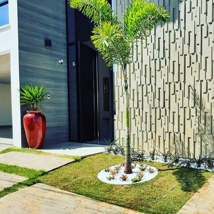 Palmeiras para jardim: 5 espécies perfeitas para a área externa de casa (Foto: Reprodução / Instagram / @casaejardimpaisagismo)