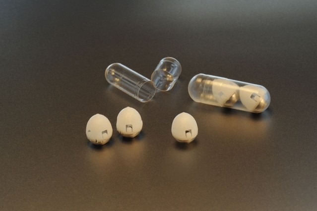 Pílula de insulina, desenvolvida pelo MIT (Foto: Divulgação/MIT)