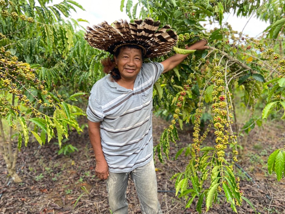 Além do café, os povos visam em outros cultivos como castanhas, cacau, café, açaí, amendoim, mandioca — Foto: divulgação