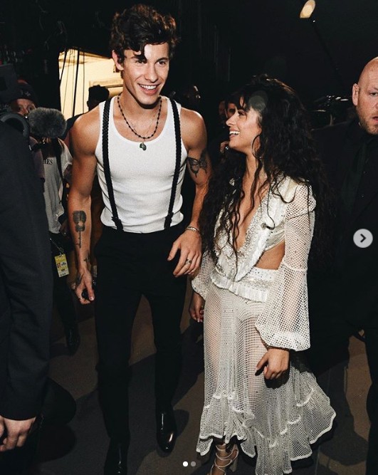 Camila Cabello e Shawn Mendes (Foto: Instagram)