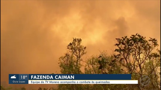  
Dono de fazenda com onças diz que queimada é 'tragédia' e agora quer pesquisar reação da natureza em MS