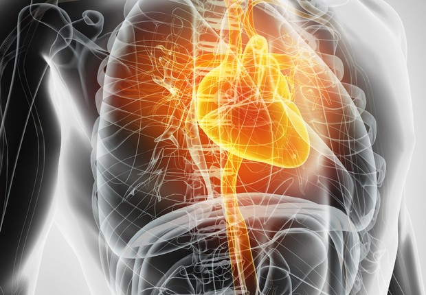 Coração humano ilustração corpo (Foto: Thinkstock)