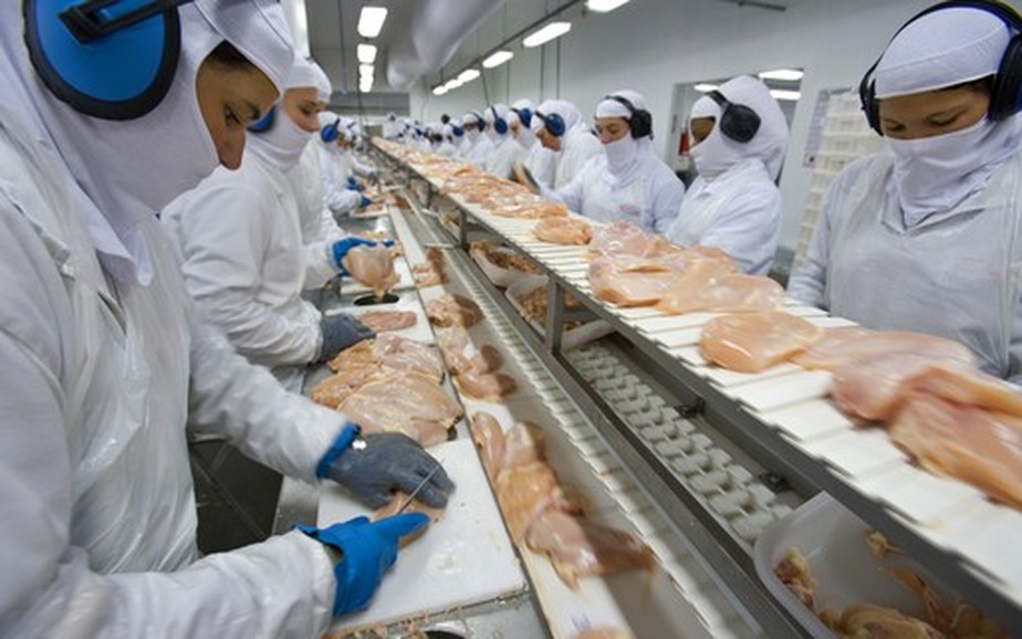 Os embarques da carne de frango in natura foram recordes e alcançaram as 21,1 mil toneladas em março