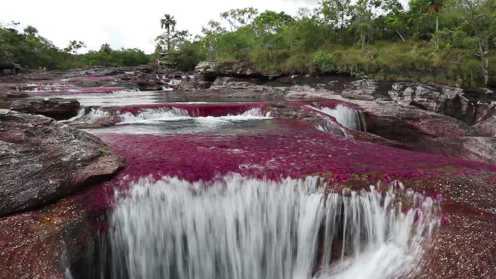 Cascata no rio Caño Cristales, na Colômbia, ganha cores diferentes ao longo do ano — Foto: Reprodução/BBC 