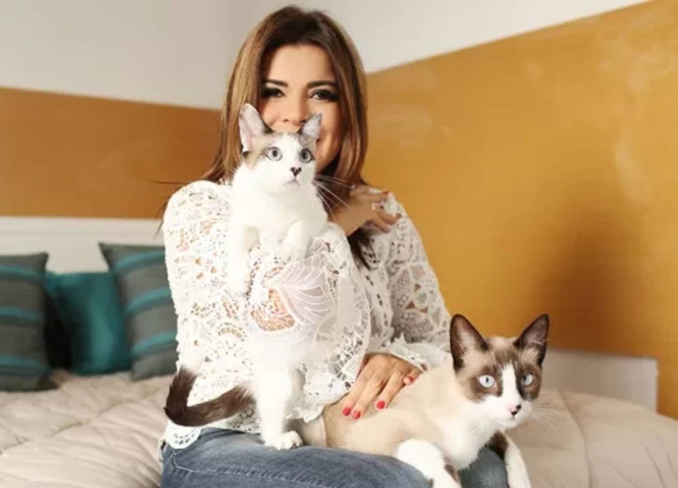 Mara Maravilha e os gatos, Céu e Azul — Foto: Mara Maravilha/ Arquivo Pessoal