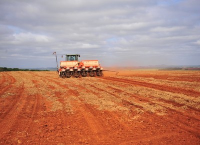 agricultura_algodao_ (Foto: Ernesto de Souza/Ed. Globo)