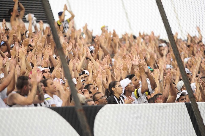 Santos x Palmeiras (Foto: Marcos Ribolli)