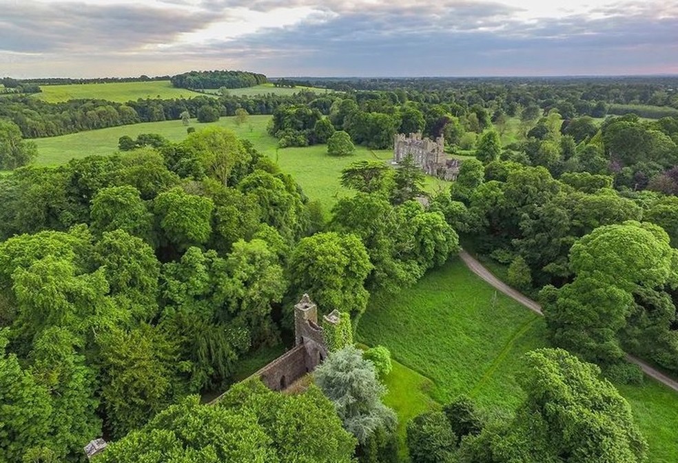 Reserva natural de Dunsany prospera em volta de castelo  — Foto: Reprodução / Redes sociais