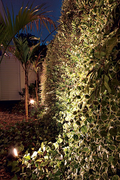 jardim-vertical-suspenso-iluminação-plantas-paisagista-Elza-Niero (Foto: Evelyn Müller/Editora Globo)