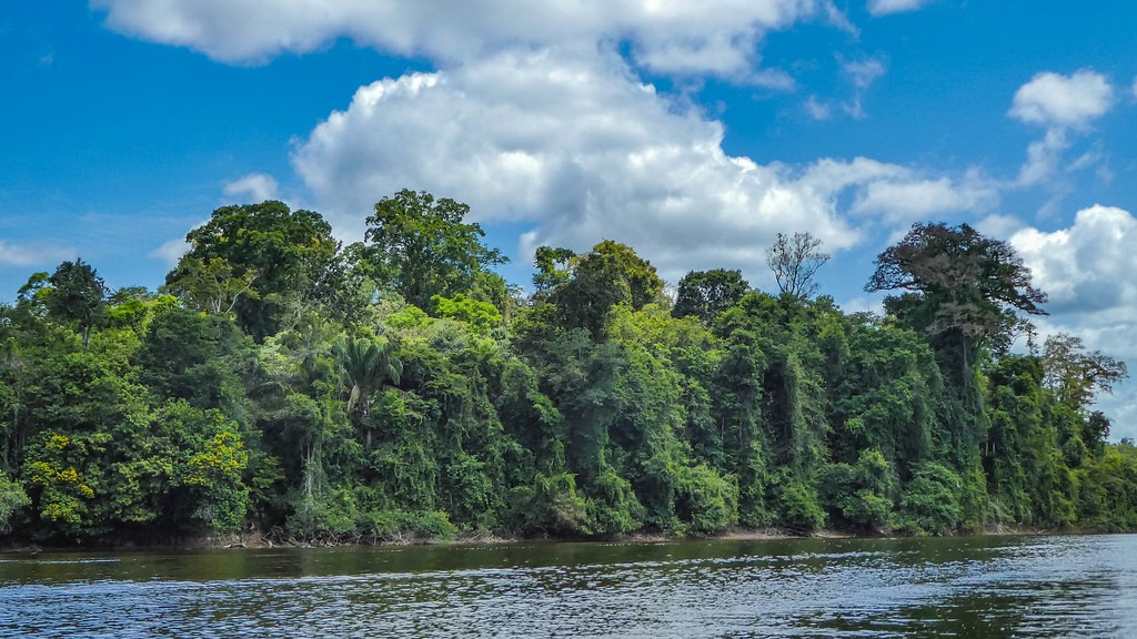 Rio em região de florestas do Suriname (Foto: Flickr)