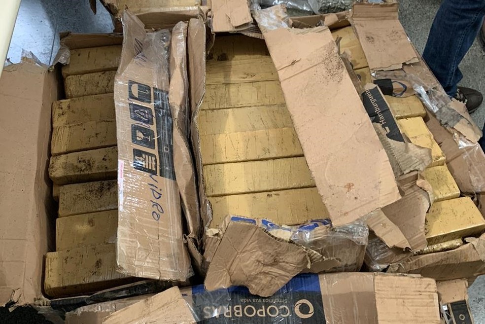 Agentes encontraram 268 tabletes e 10 sacos prensados de maconha &mdash; Foto: Pol&iacute;cia Civil/Divulga&ccedil;&atilde;o