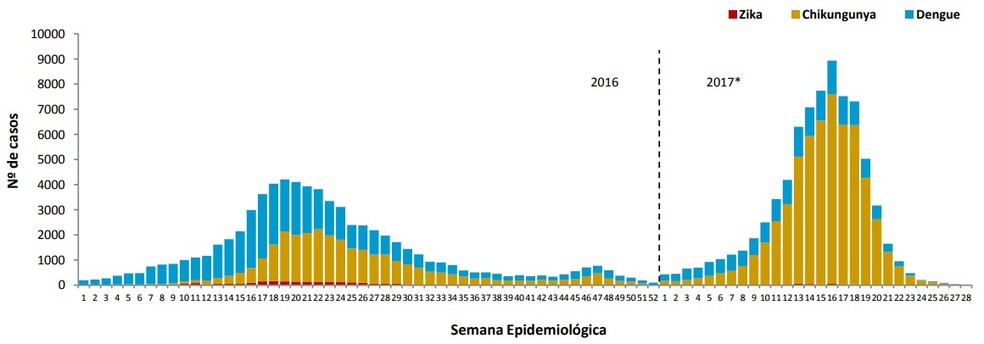 Índice de chikungunya no Ceará cresceu 160% entre 2016 e 2017 (Foto: Reprodução)