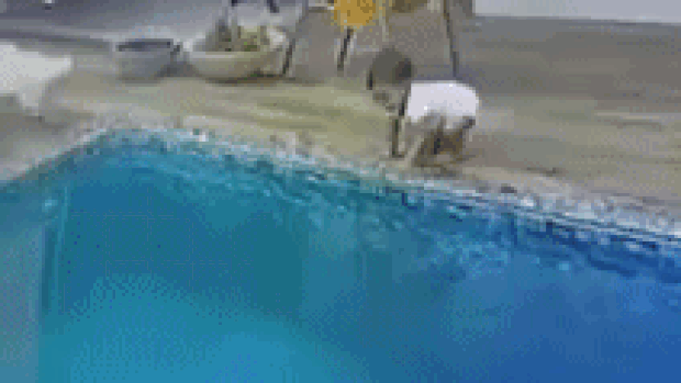 Bebê cai em piscina (Foto: Arquivo Pessoal)