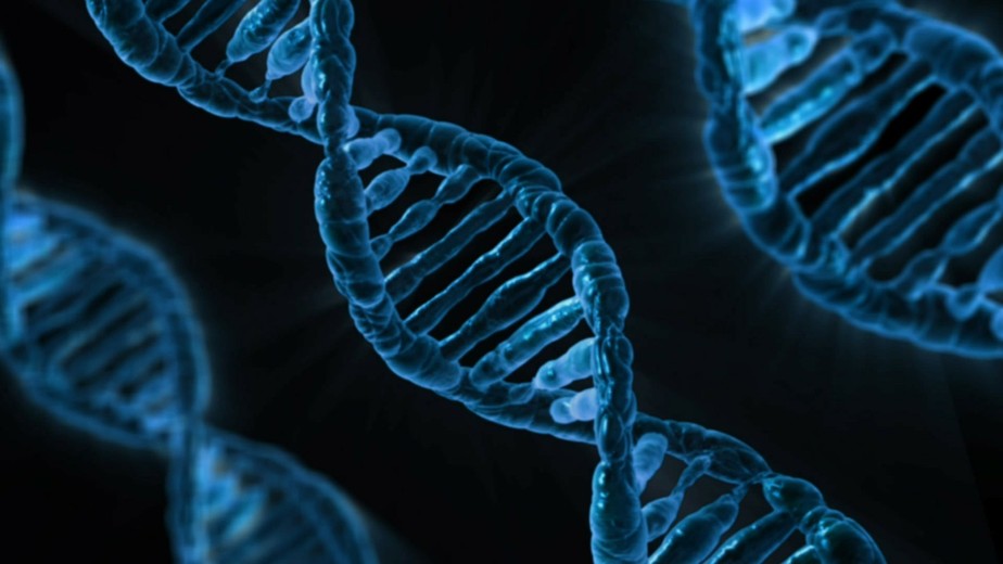 Estudo acompanha o surgimento de 155 novos genes
