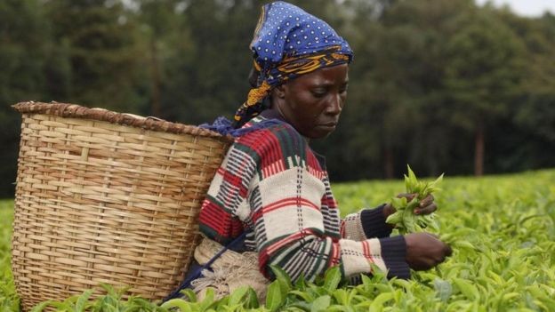 Comunidades locais no Quênia têm sistemas tradicionais de proteção ambiental (Foto: Alamy/ Via BBC)