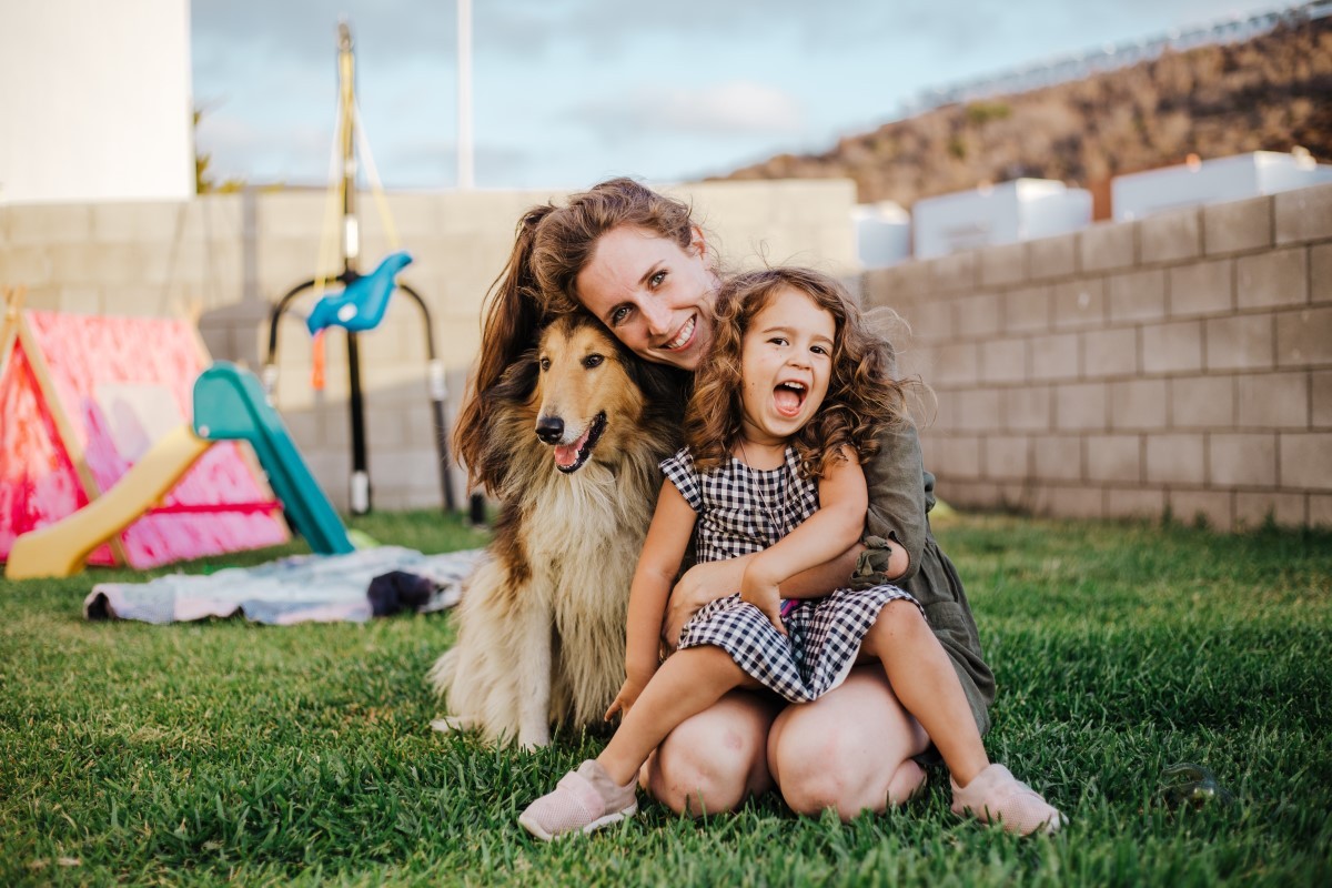 Pais de pets: saiba quais cuidados e locais ideias para o seu animal - Casa  e Jardim | Pets