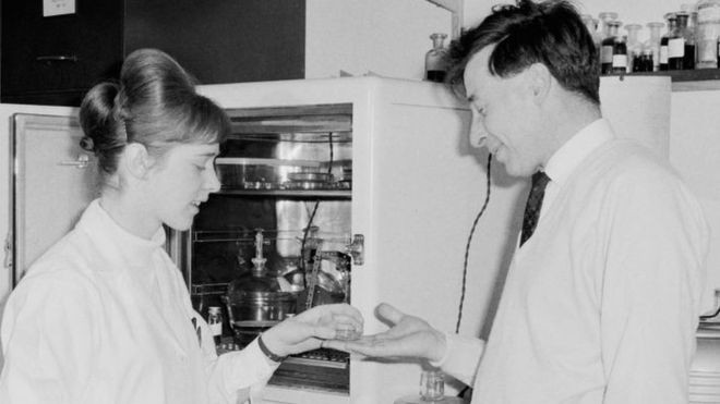 Jean Purdy trabalhou com Robert Edwards no desenvolvimento da fertilização in vitro (Foto: Getty Images via BBC Brasil)
