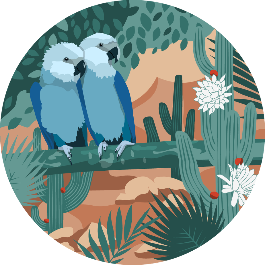 Caatinga e ararinha-azul são tema de animação para smartwatches Montblanc