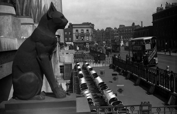 gato preto; superstição; (Foto:  Fox Photos/Getty Images)
